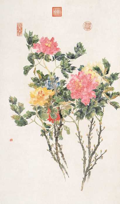 佚名 花卉 立轴